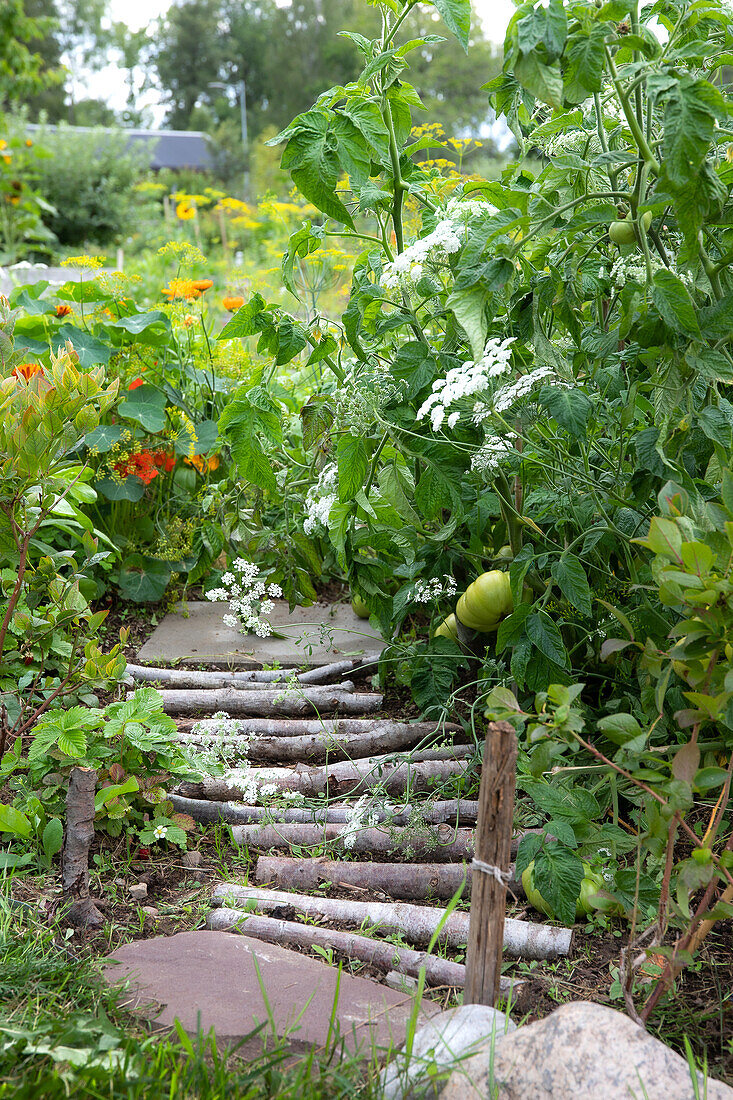 Gewundener Pfad aus Ästen und Steinen durch üppig bepflanzten Garten