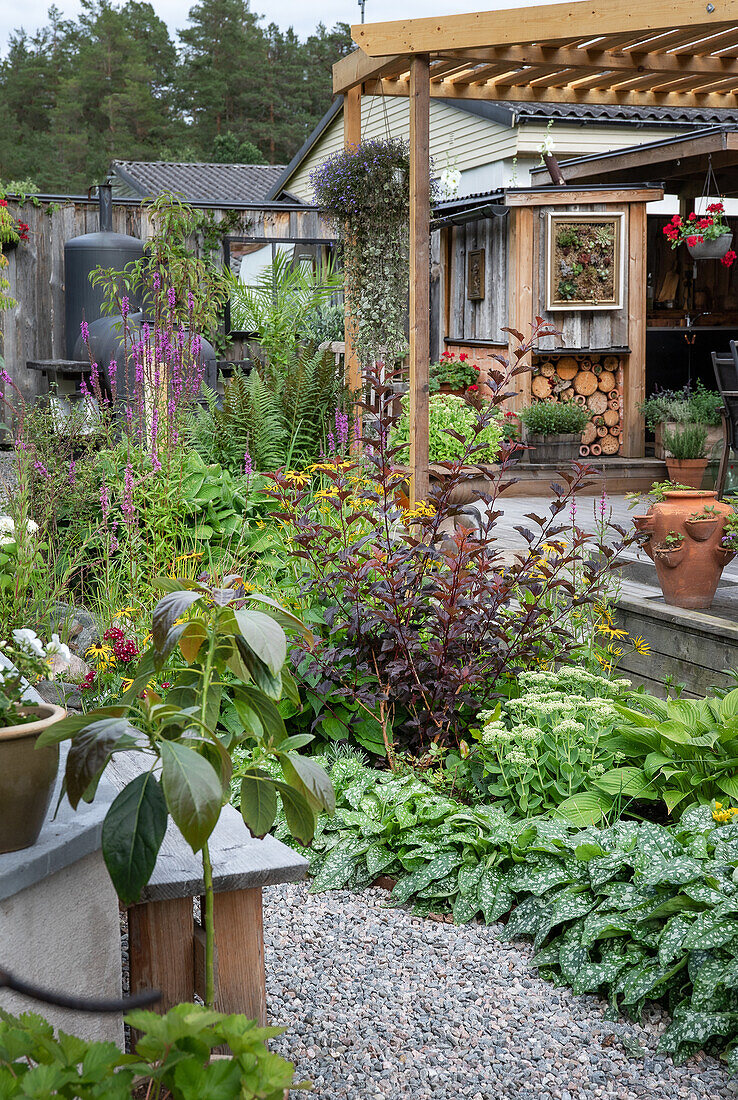 Lush garden with plants and patio area under a wooden pergola