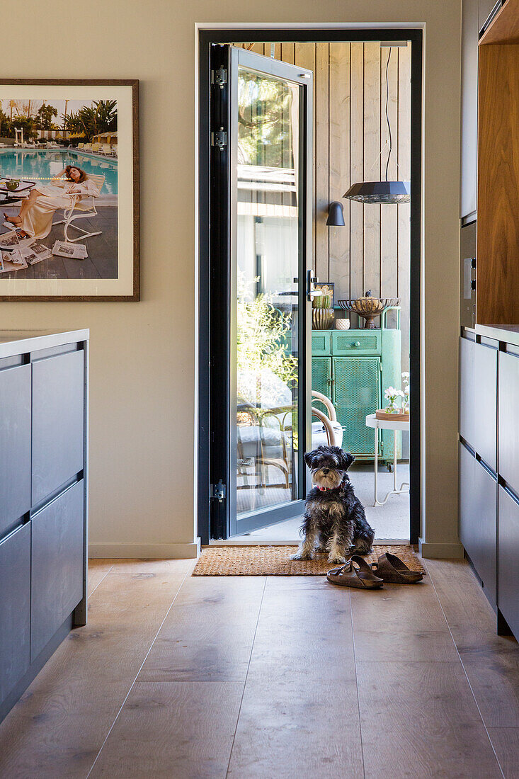 Dog sitting on doormat