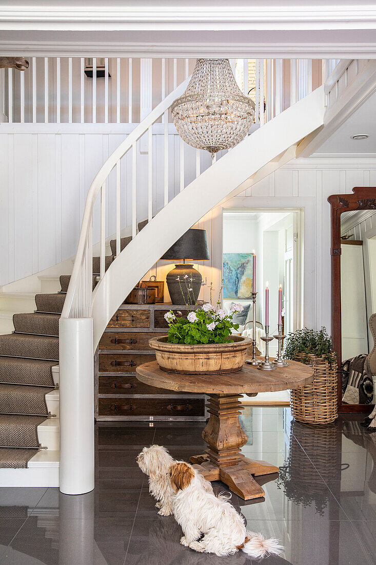 Entrance area with wooden staircase, side table and two dogs