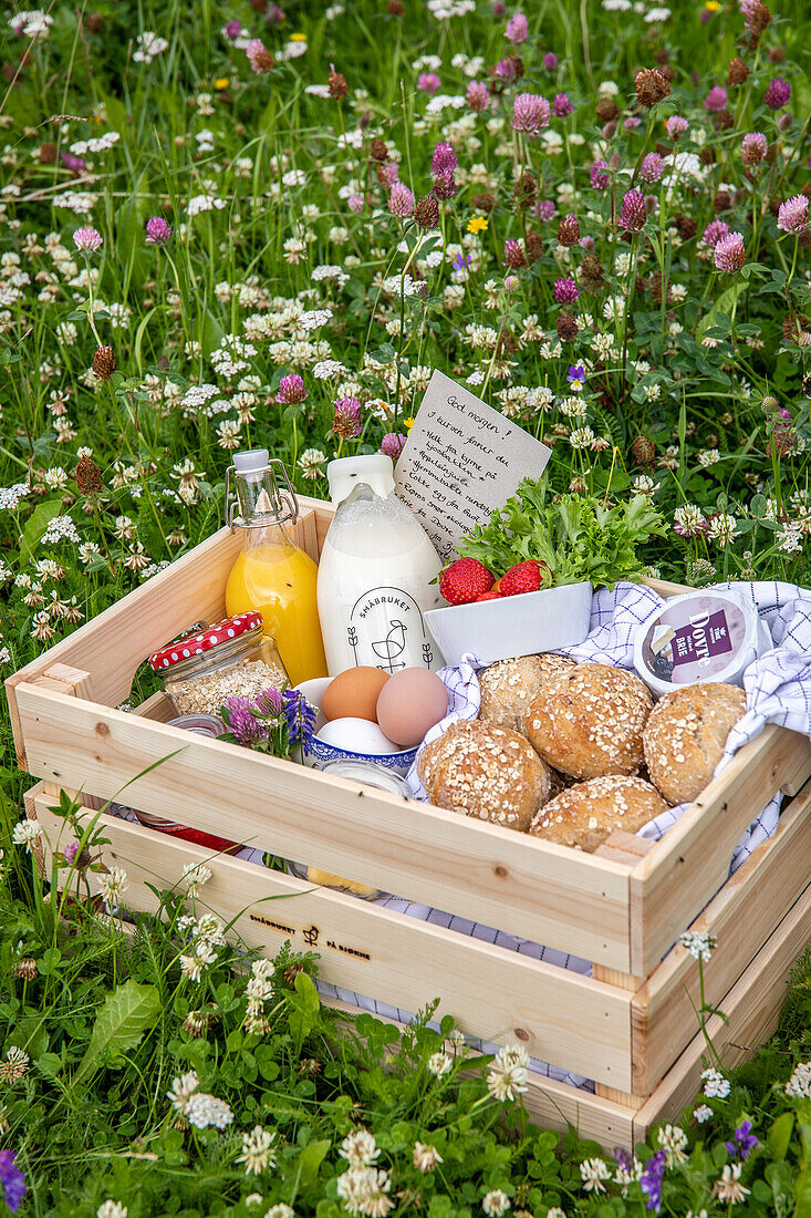 Breakfast box with eggs, juice and bread rolls on a flower meadow