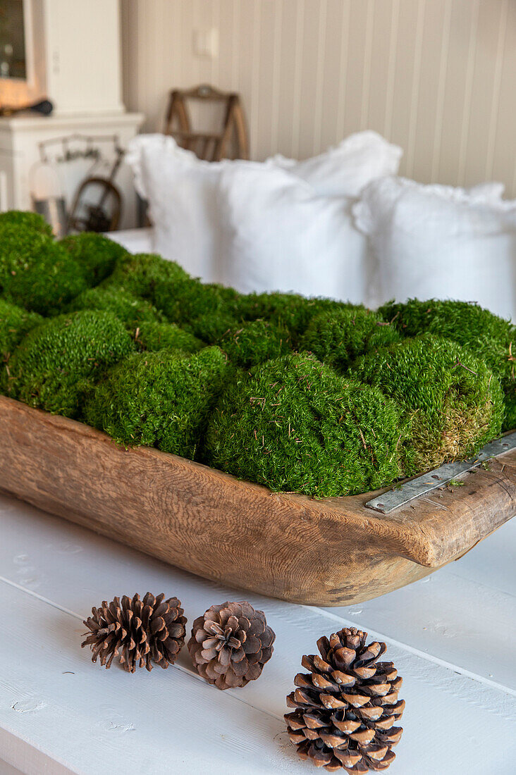 Moss balls in a rustic wooden bowl on a white table with pine cone decoration