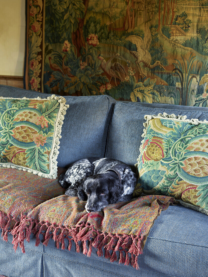 Hund ruht auf Sofa mit Vintage-Kissen und Wandteppich im Hintergrund