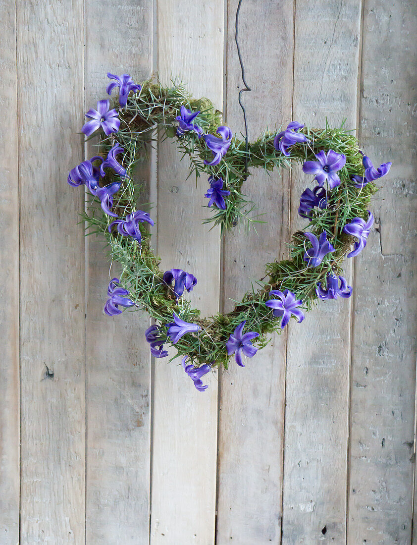 Heart-shaped wreath with hyacinth flowers (Hyacinthus) on a wooden base