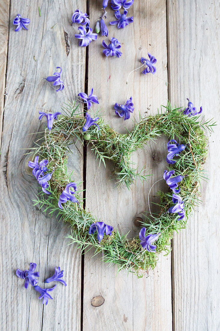 Heart-shaped wreath with hyacinth flowers (Hyacinthus) on a wooden background