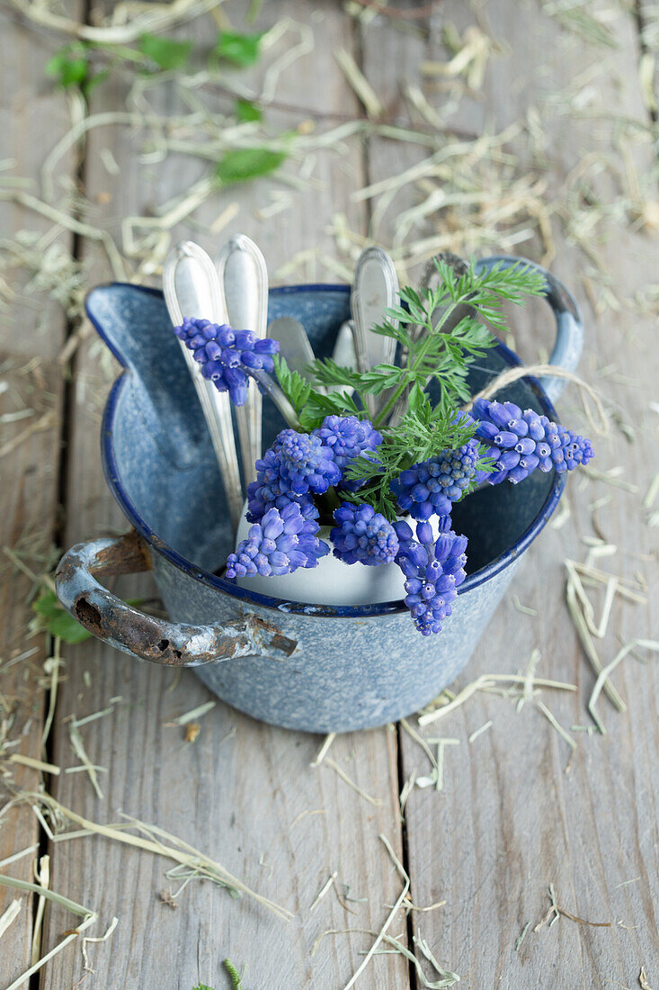 Muscari filled eggshell and silver spoon in rustic enamel pot