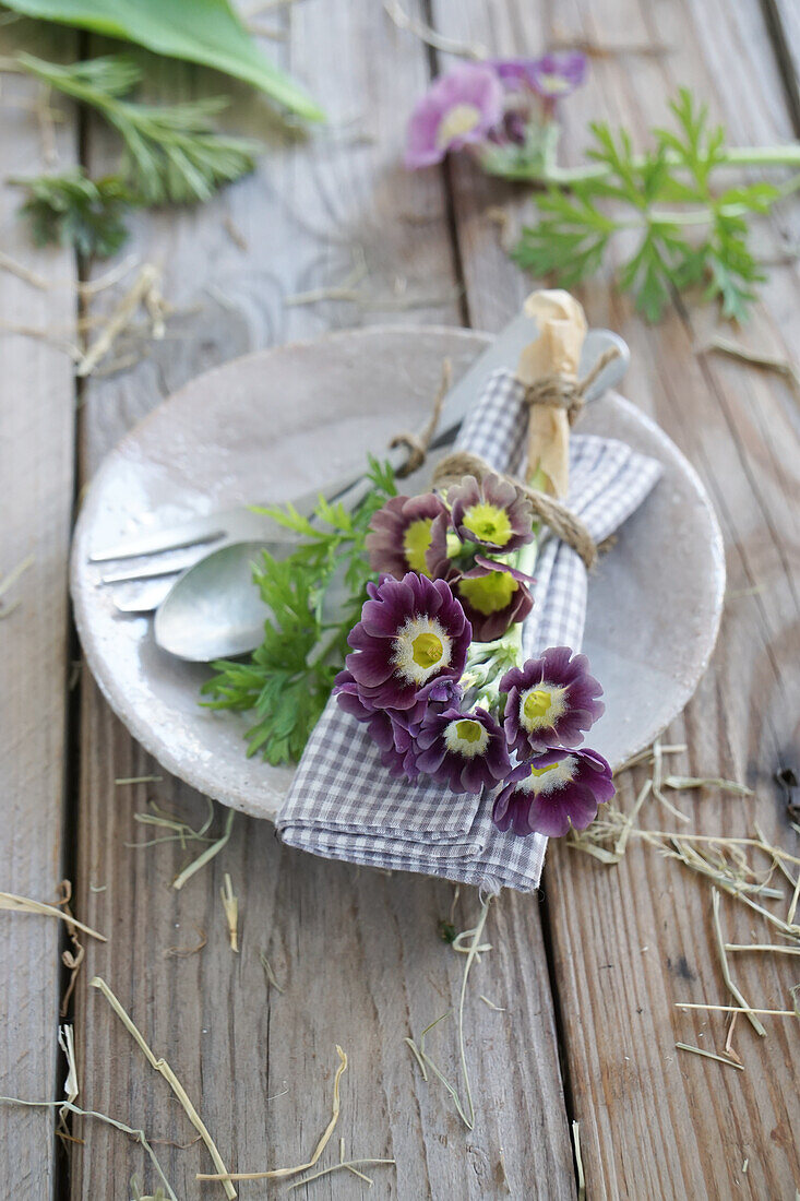 Napkin with Primula auricula and cutlery on plate