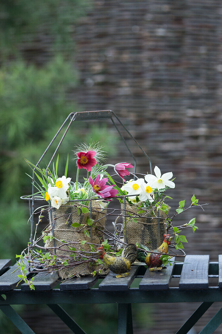 DIY vases made of jars and sacking with spring flowers in a bottle basket, pasque flower (Pulsatilla) and narcissus (Narcissus)