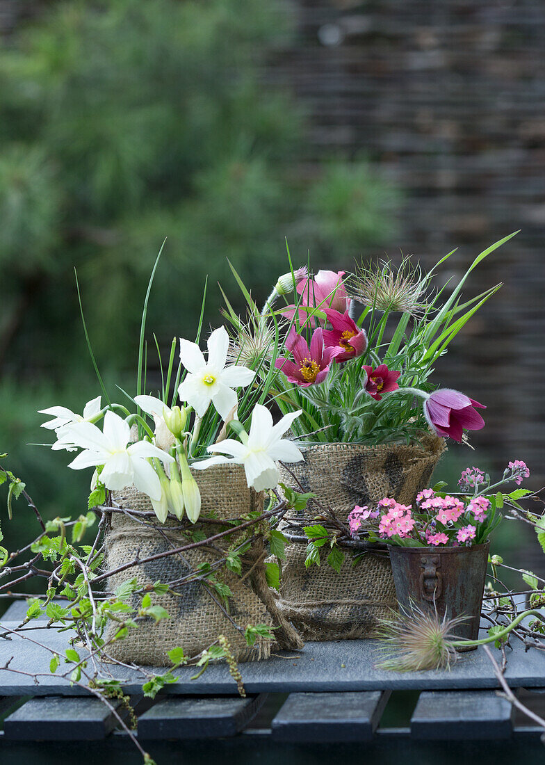 DIY-Vasen aus Weckgläsern und Sackstoff mit Frühlingsblumen, Küchenschelle (Pulsatilla) und Narzissen (Narcissus)