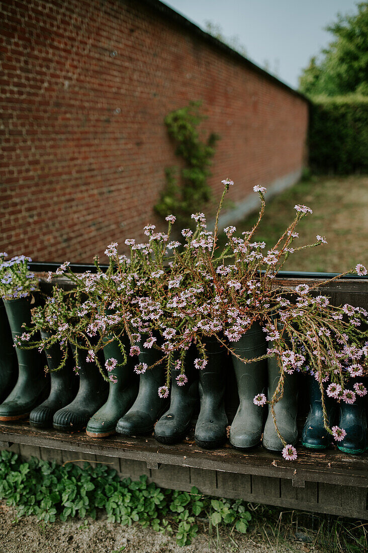 Rubber boots as original planters with blooming flowers