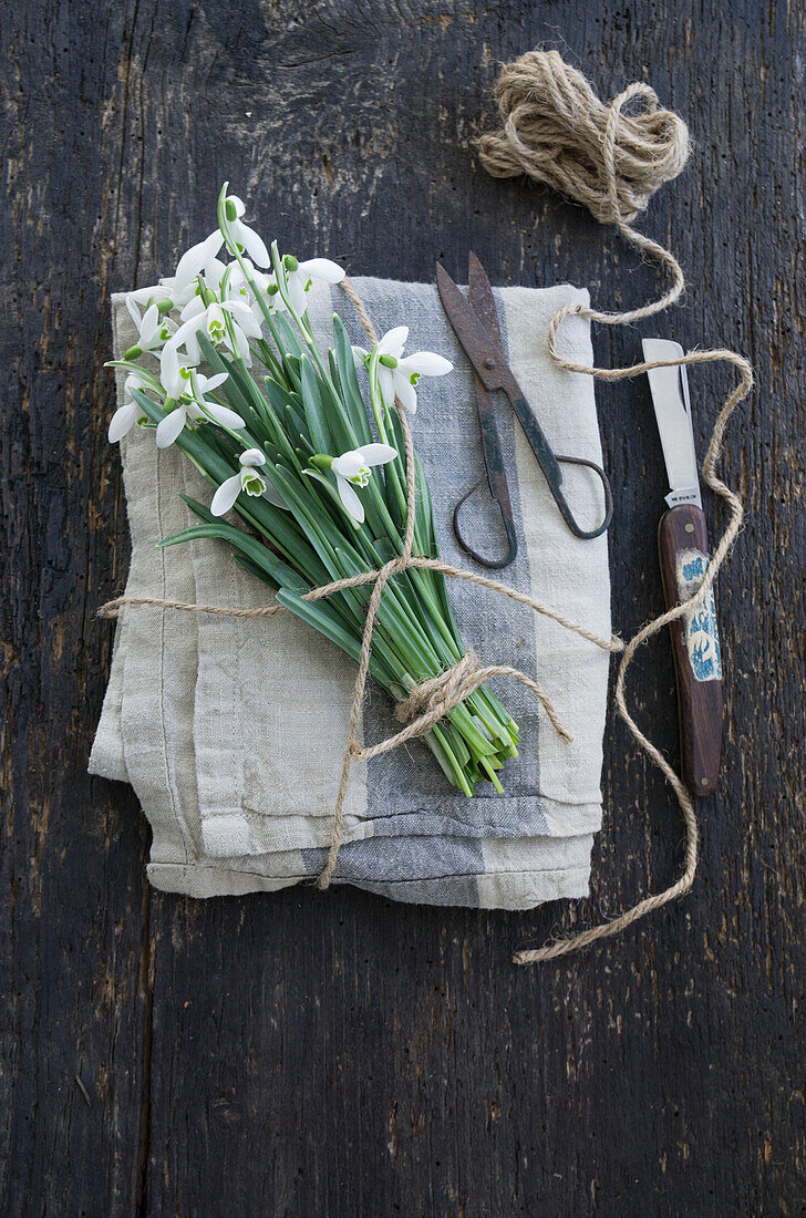 Bouquet of snowdrops with string on linen napkin