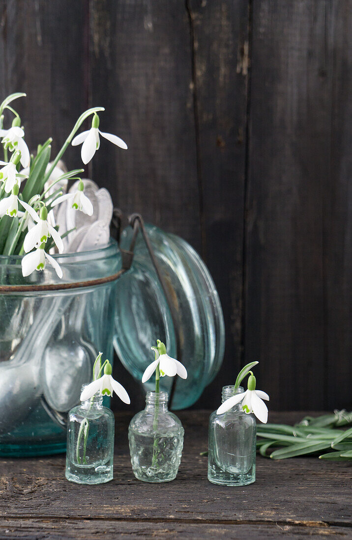 Bouquet of snowdrops (Galanthus) and old cutlery in a hinged glass and mini vases