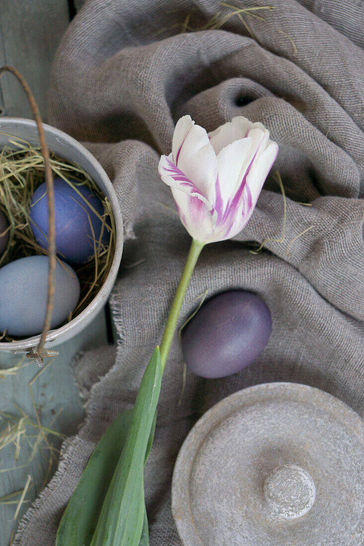 Arrangement with tulips and Easter eggs on grey fabric