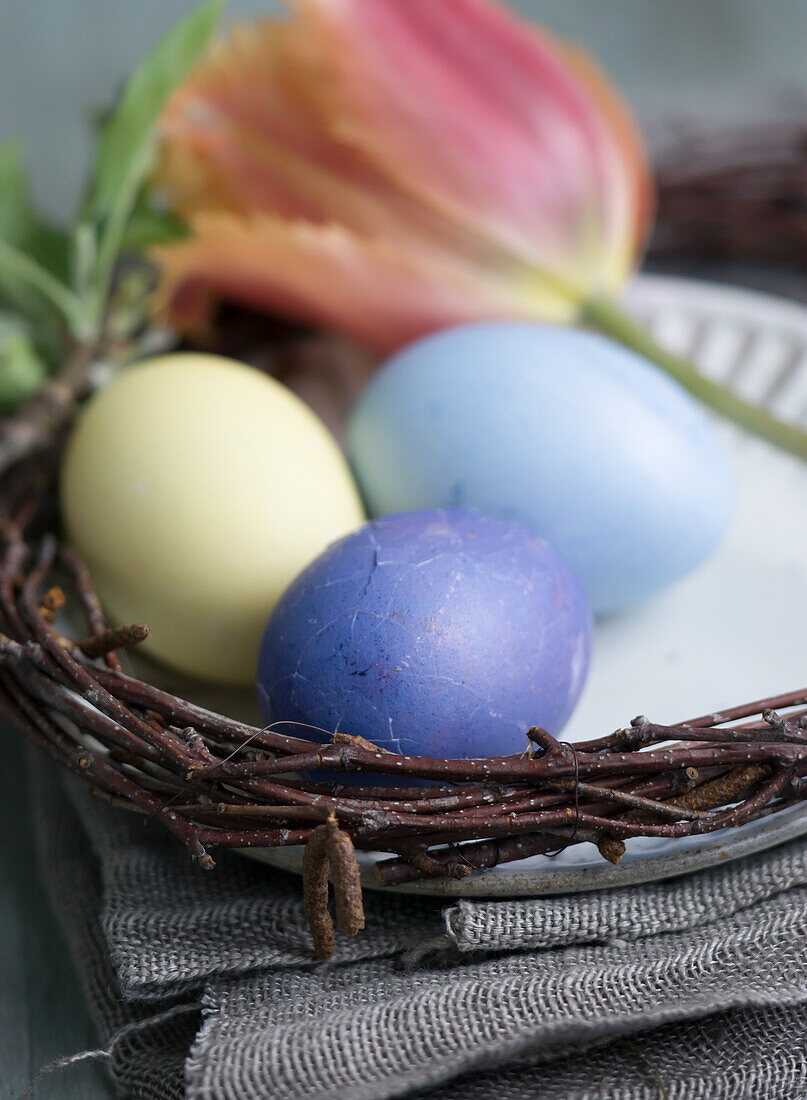 Colorful Easter eggs, dyed with red cabbage and beetroot and turmeric