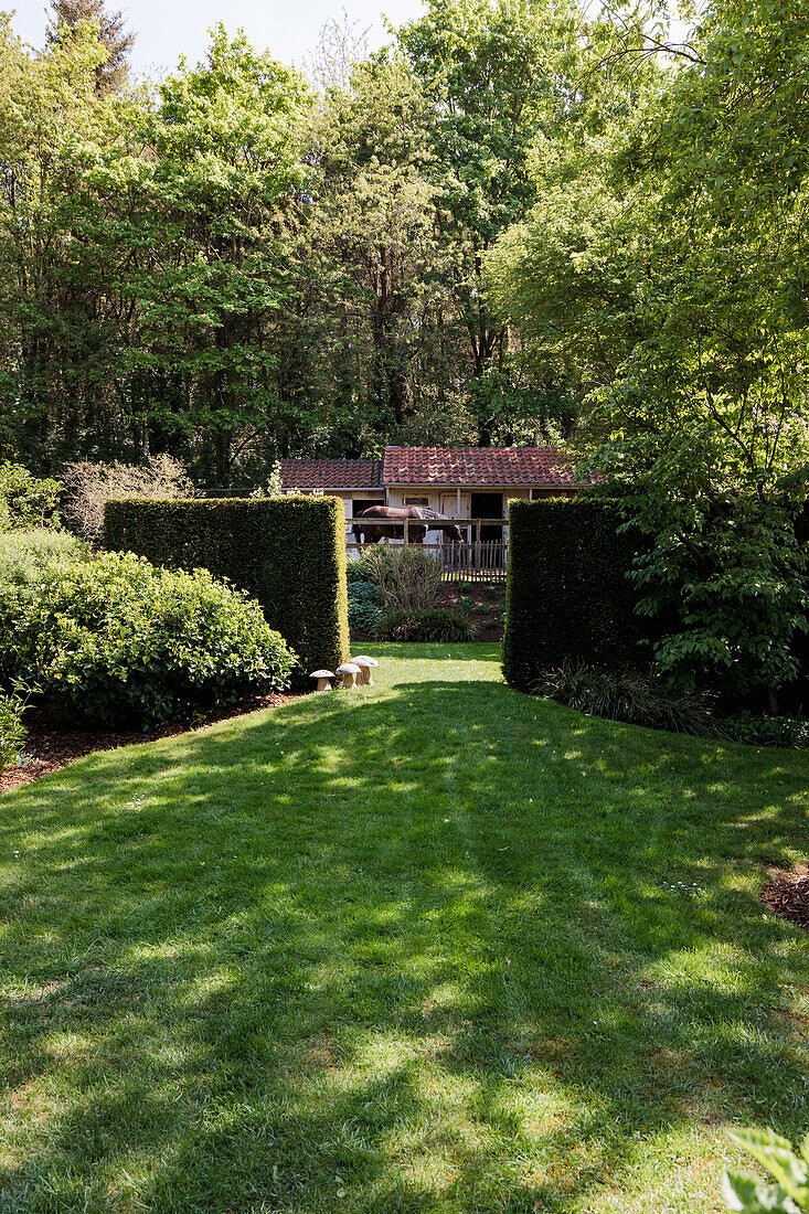 Garten mit gepflegtem Rasen und geschnittenen Hecken vor einem Waldhintergrund