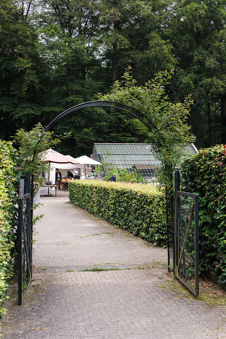 Gartenweg mit Rosenbogen und Glashaus im Hintergrund