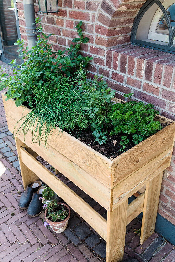 Wooden raised bed with fresh herbs by a brick wall