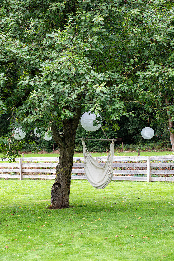 Hängesessel und weiße Lampions an einem Baum im Garten
