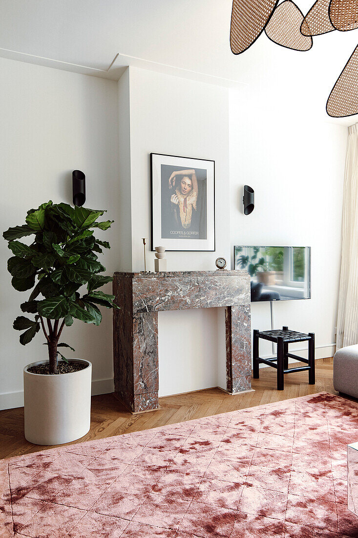 Living room with marble mantelpiece and pink carpet