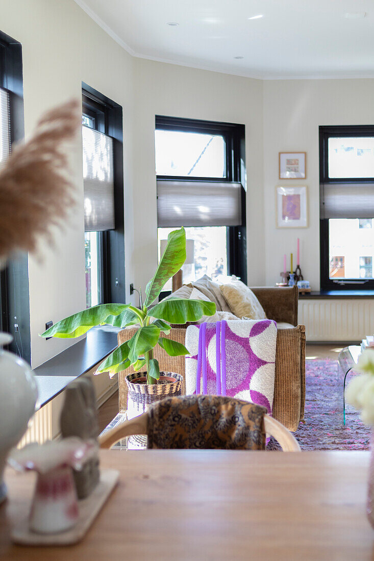 Bright living room with banana plant and corduroy sofa