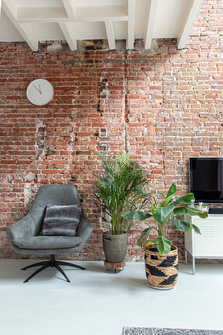 Armchair and houseplants in front of exposed brick wall in the living room