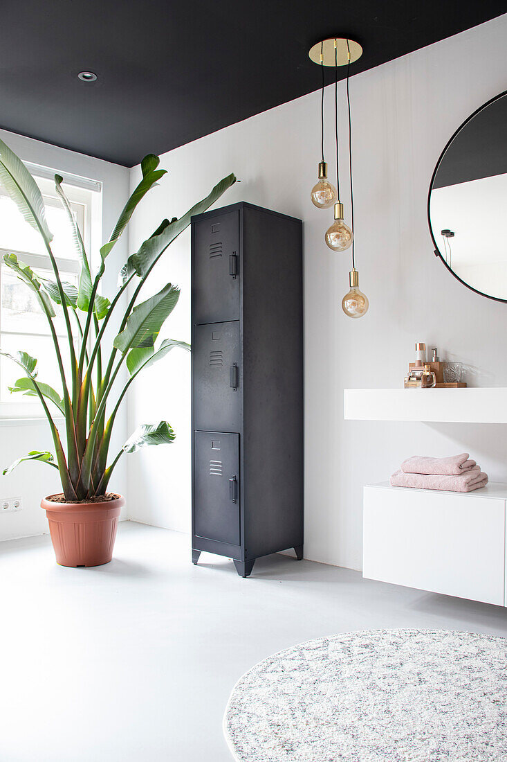 Modern bathroom with locker, round mirror and large plant