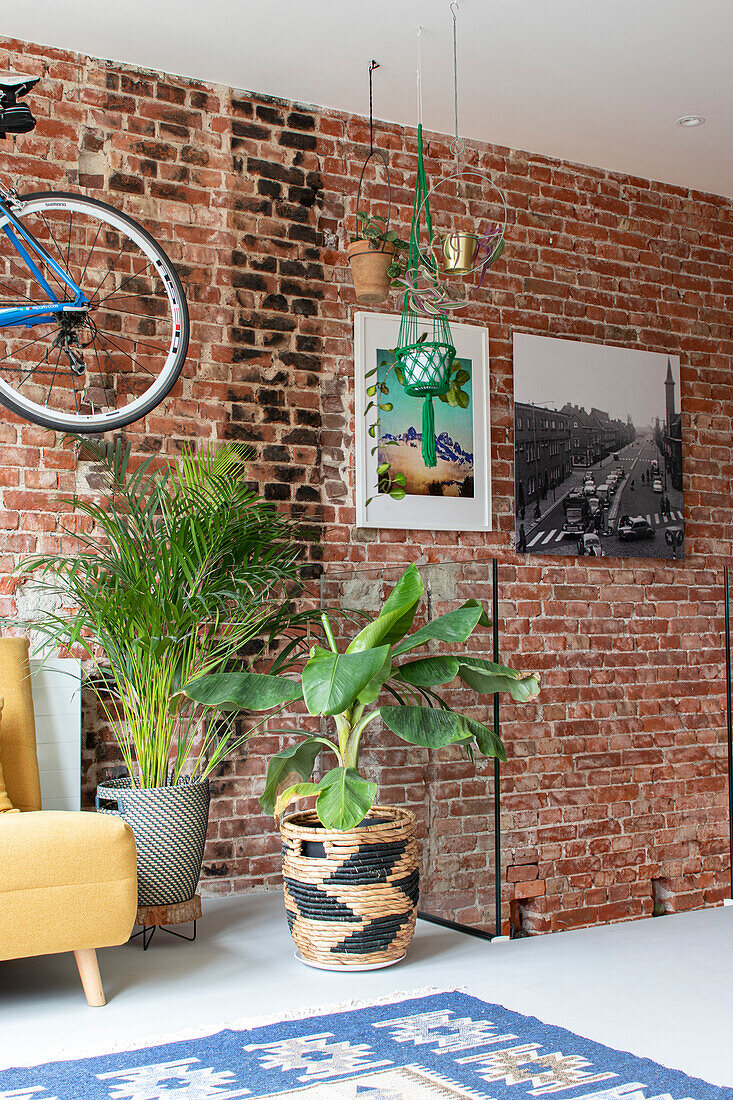 Brick wall in the living room with bicycle, plants and artwork