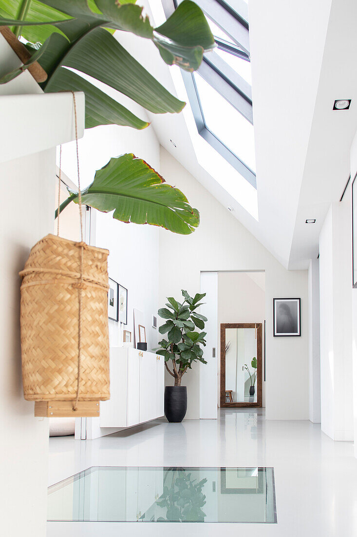 Bright hallway with skylights, glass floor and indoor plants