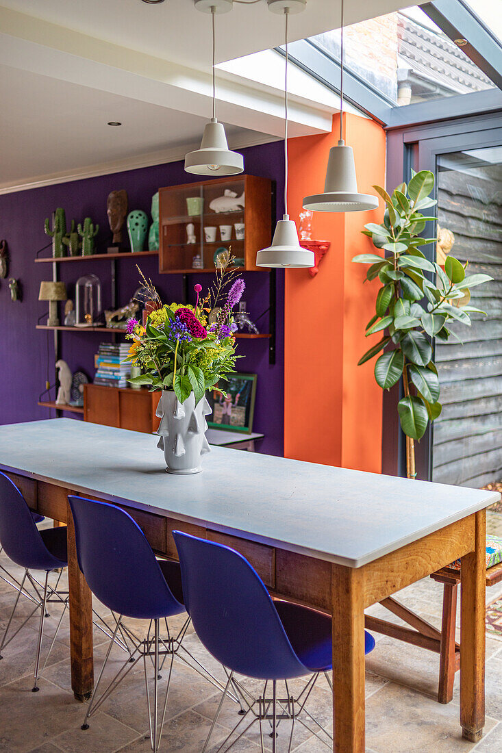 Dining area with blue chairs, wooden table and purple-orange wall