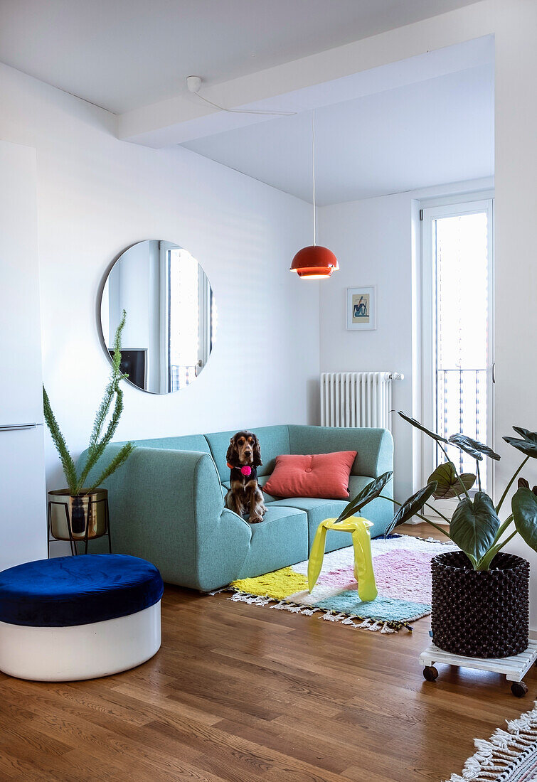 Bright living room with light blue couch and a dog