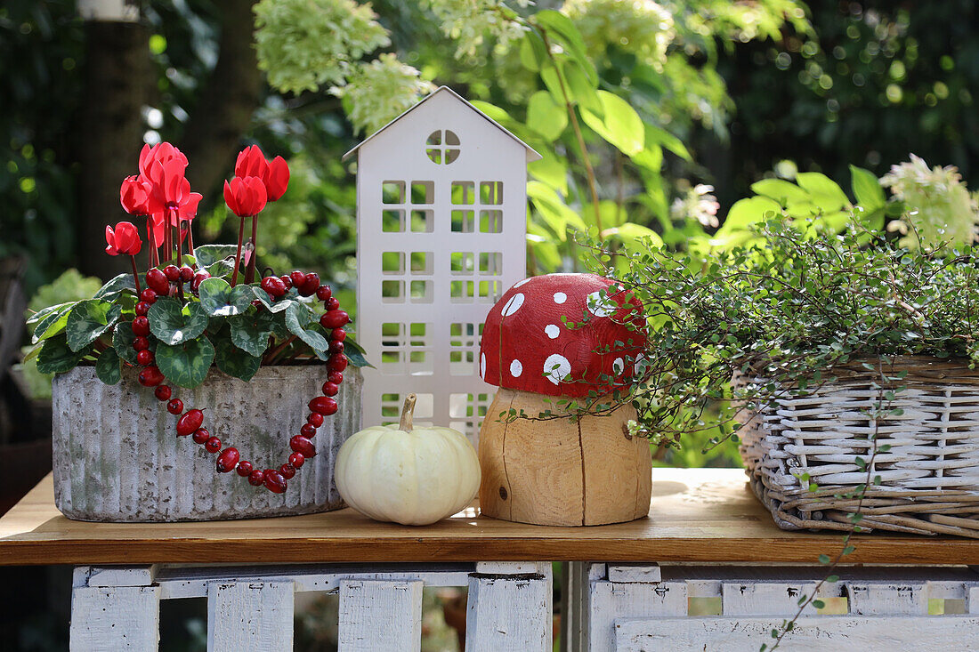 Decoration with wooden toadstool, pumpkin, little house, cyclamen, rosehip heart and Mühlenbeckia in a basket
