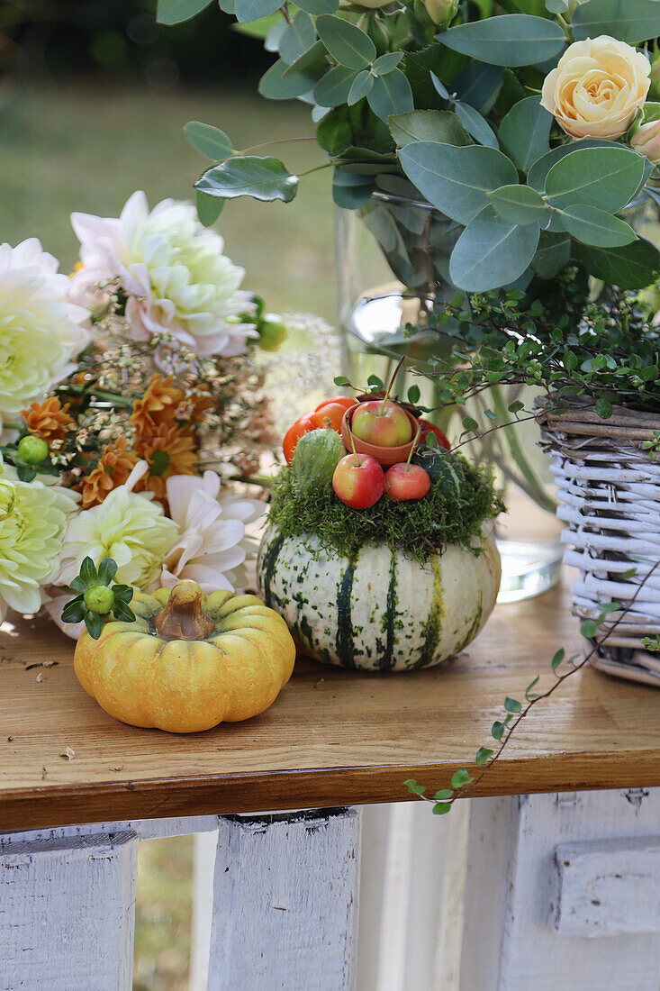 Autumnal decoration with pumpkins, chrysanthemums, roses, Mühlenbeckia