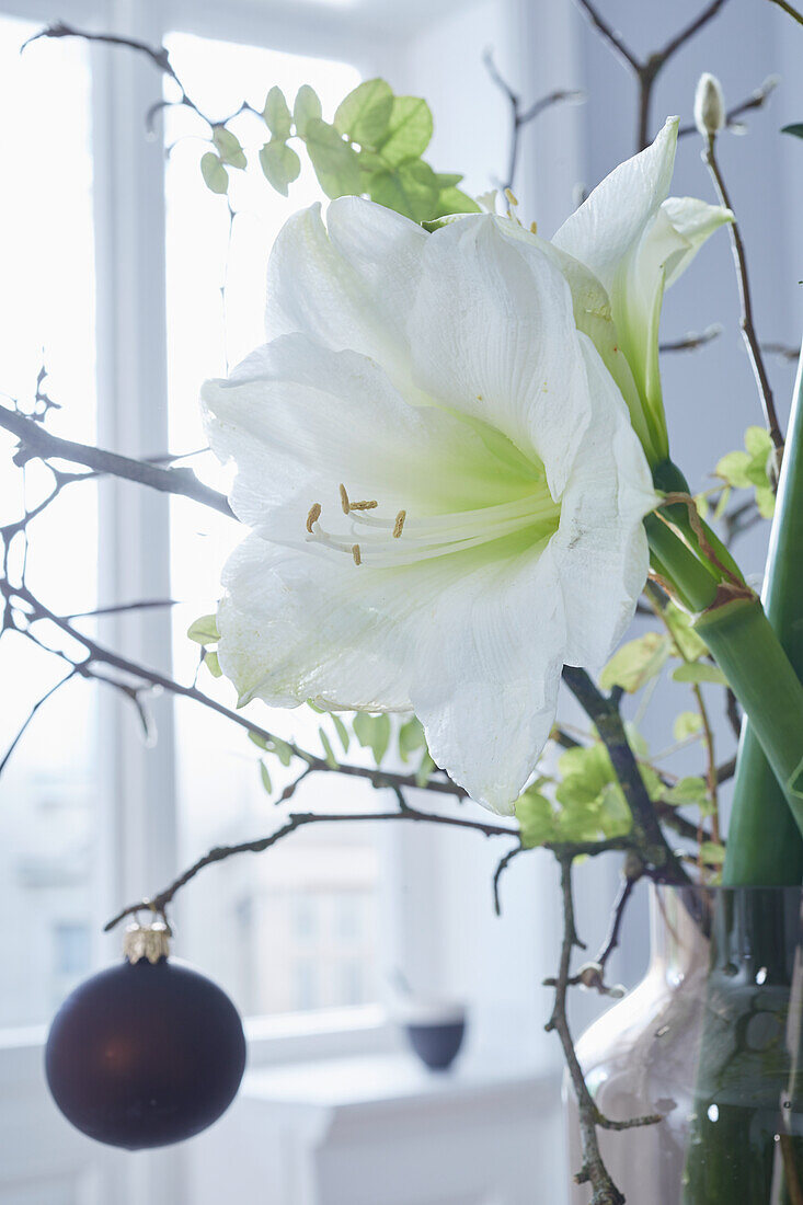 Blumenstrauß mit weißer Amaryllis und Weihnachtskugeln