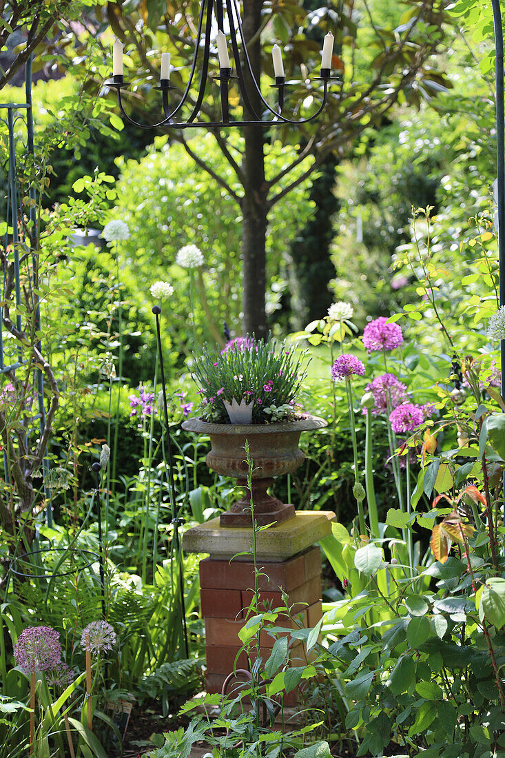 Spring bed with Allium, column of bricks, amphora planted with carnations
