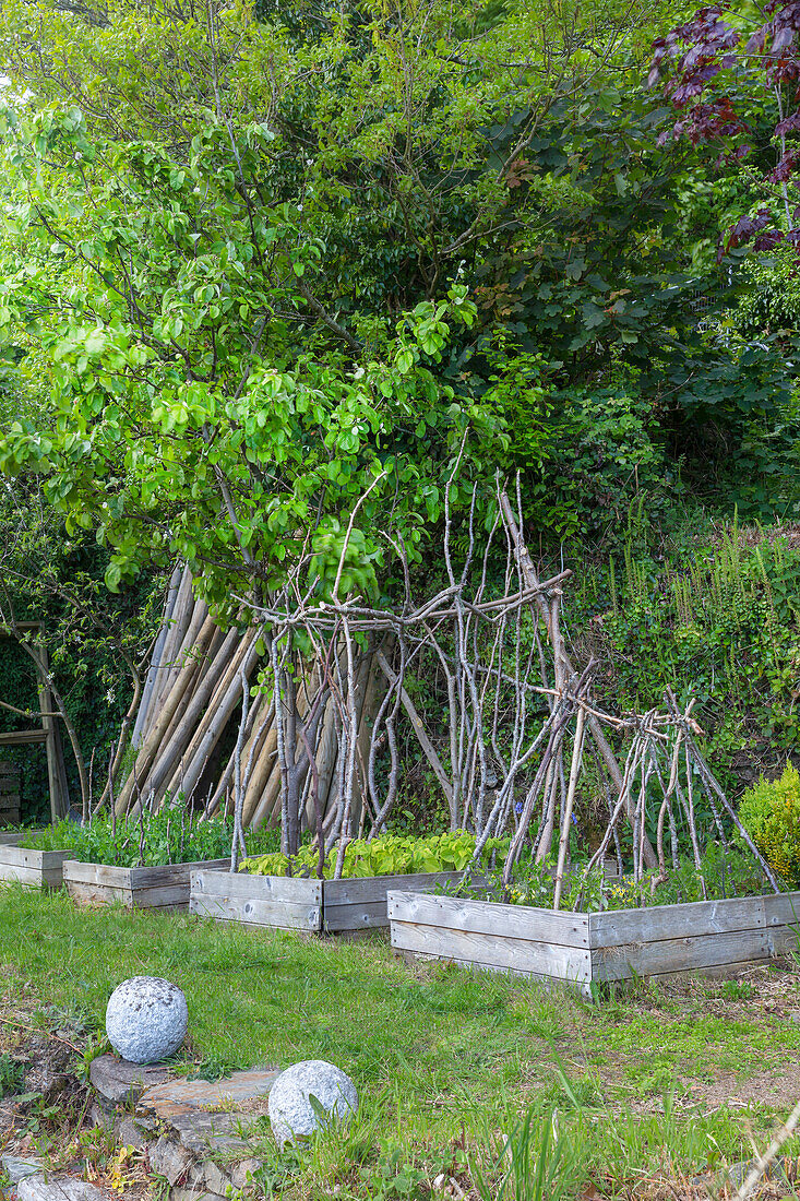 Raised beds with climbing aids in the garden