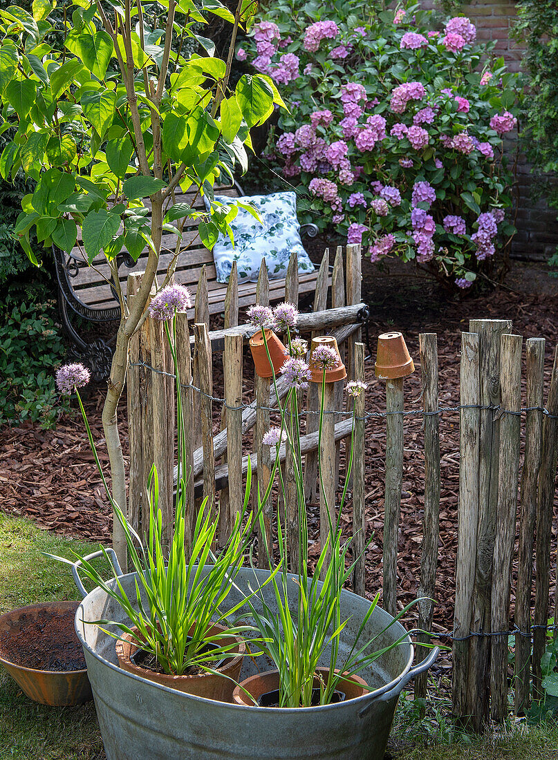 Flowerbed with wooden fence and potted plants next to garden bench