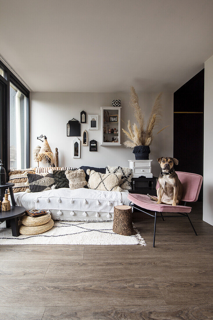 Wohnzimmer in Erdtönen mit Sofa, rosa Stuhl und Hund