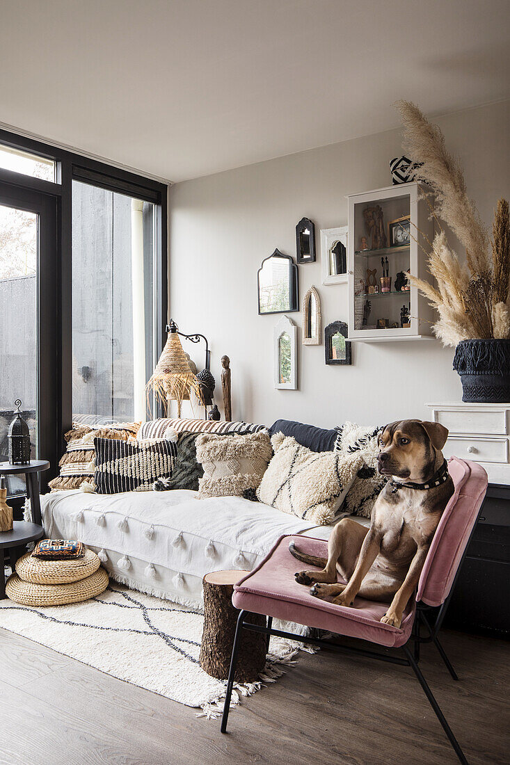 Moroccan-style living room with dog on pink chair