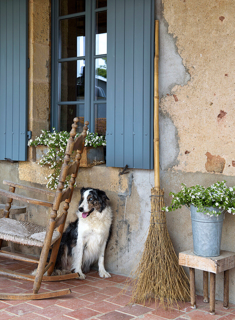 Hund sitzt neben Reisigbesen, Pflanzen und Schaukelstuhl vor rustikalem Haus