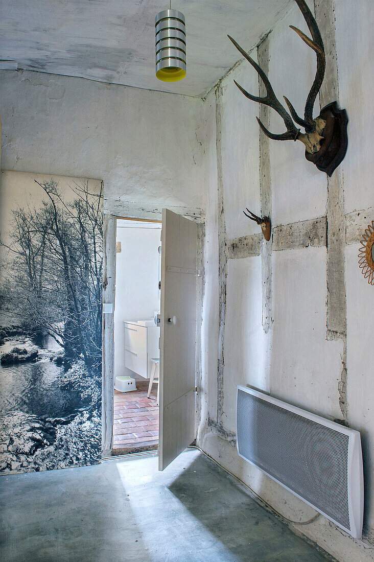 Animal antlers and leaning picture with photo wallpaper in a rustic room