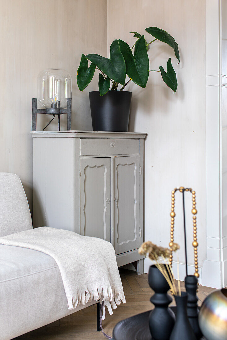 Monstera on classic side cabinet next to sofa