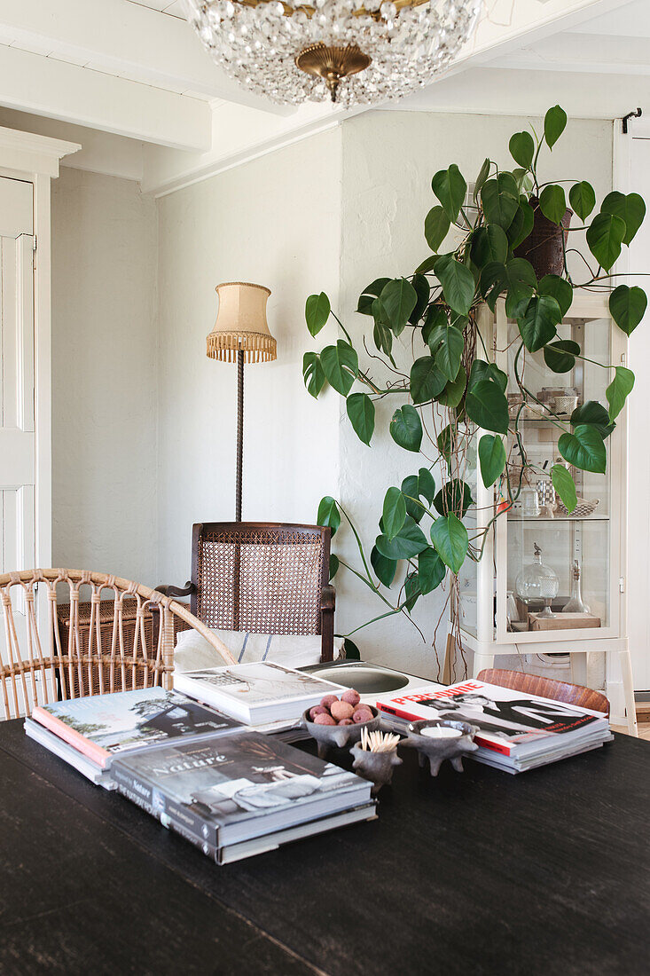 Living room with houseplant, rattan furniture and stacks of illustrated books