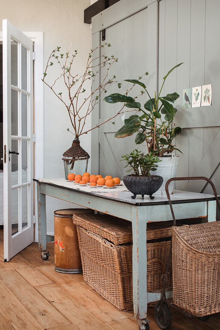 Rustic wooden table with plants and oranges in a bright room