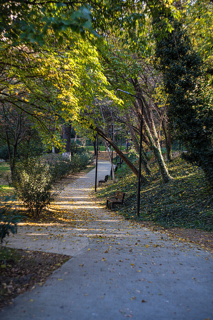 Path in an autumnal park