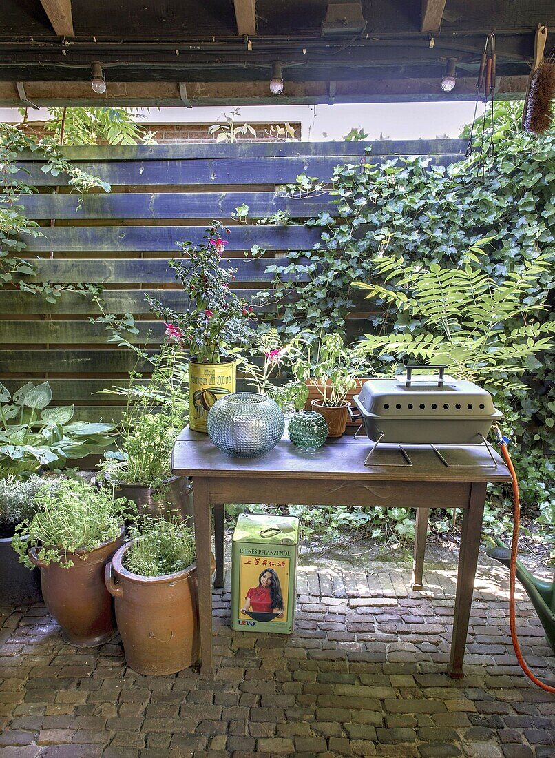 Green terrace with herbs and plants, table with barbecue and decoration