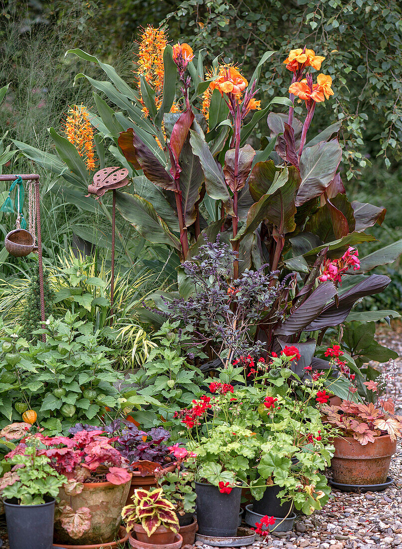 Late summer perennial bed with various flower pots in the garden