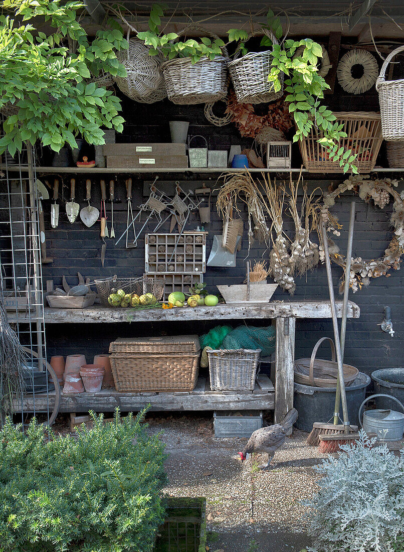 Huhn vor Gartenschuppen mit Körben und Werkzeugen