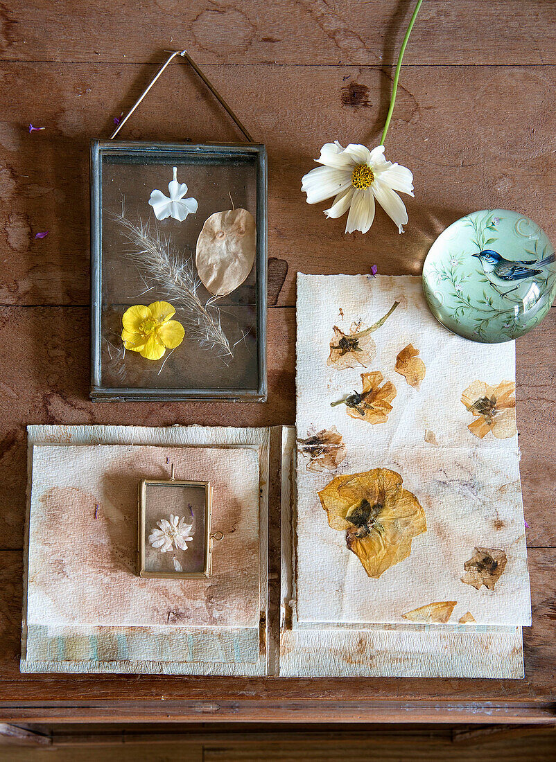 Herbaria and pressed flowers on wooden table with bird motif bowl