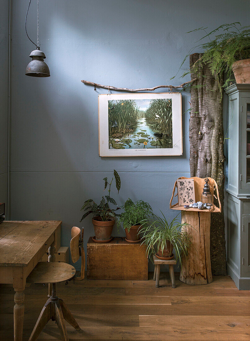 Corner area with plants and outdoor themed decorations