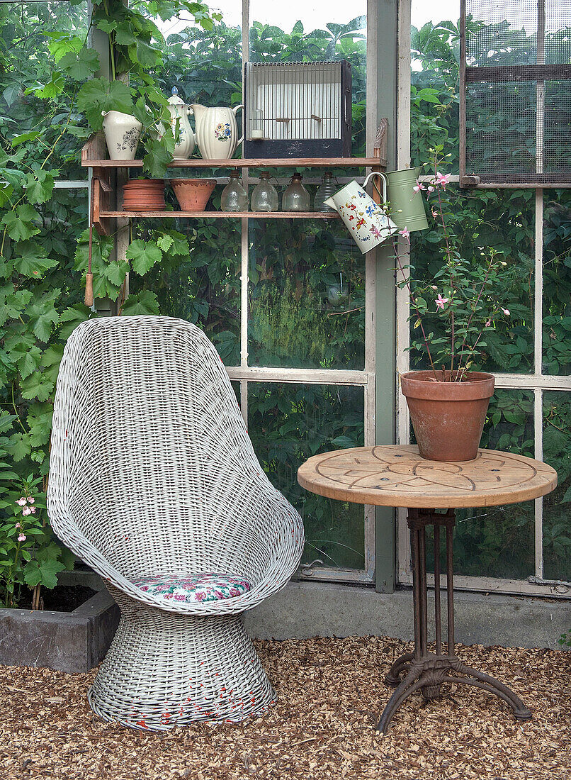 Rattan chair and round side table with flower pot in a greenhouse